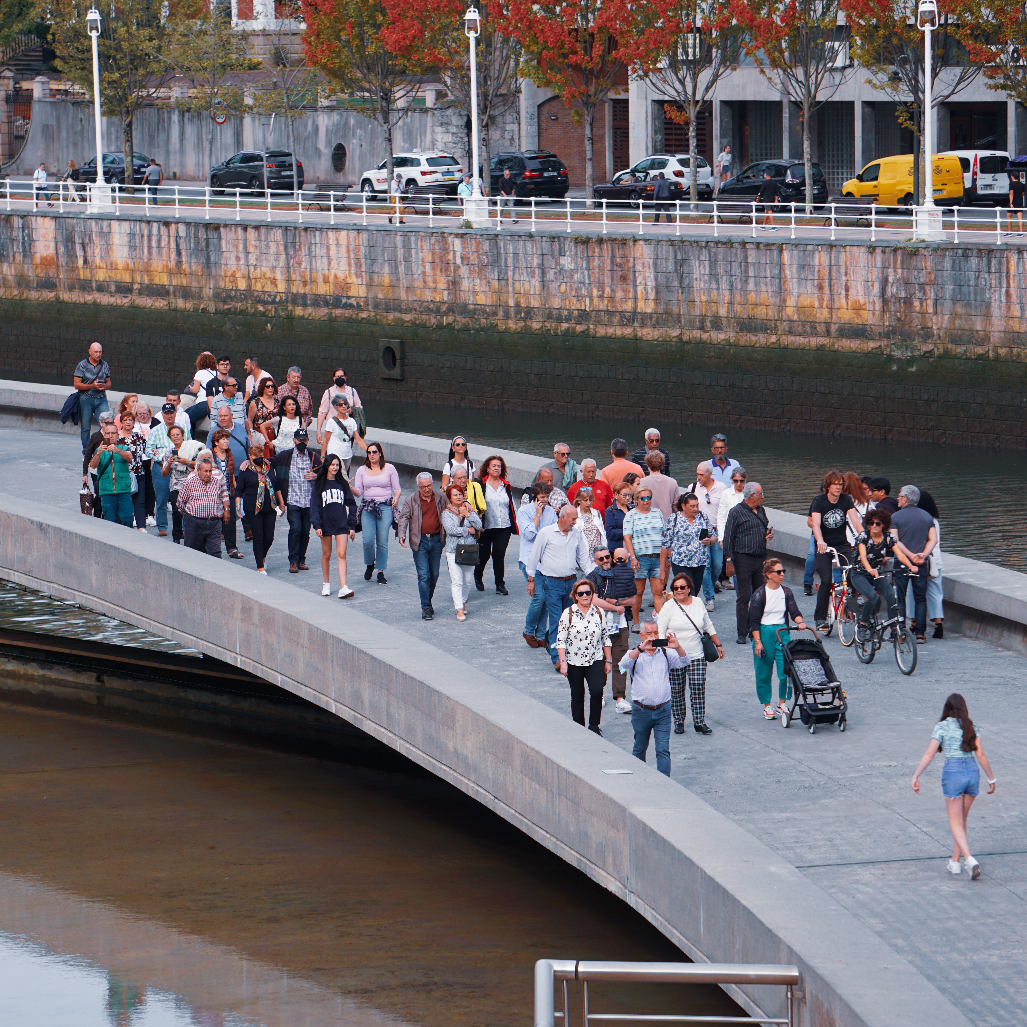 Census & Population Surveys